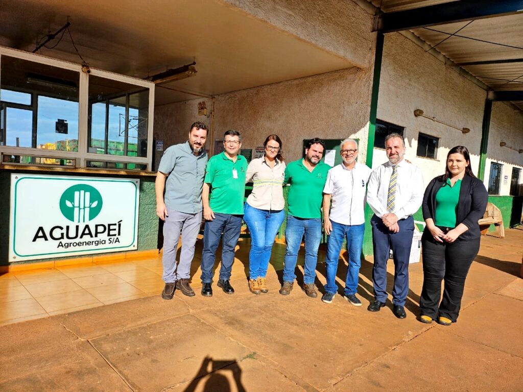 Aguapei Agroenergia S.A